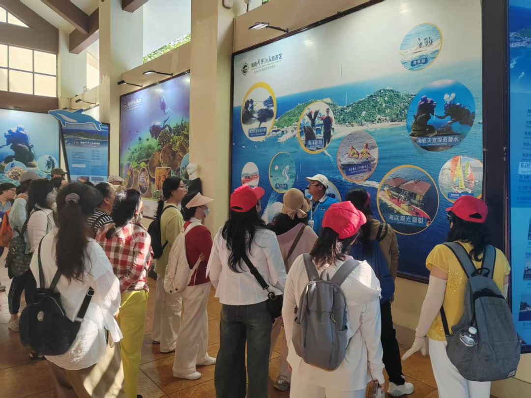 1768183312622586.png 图片 5.png