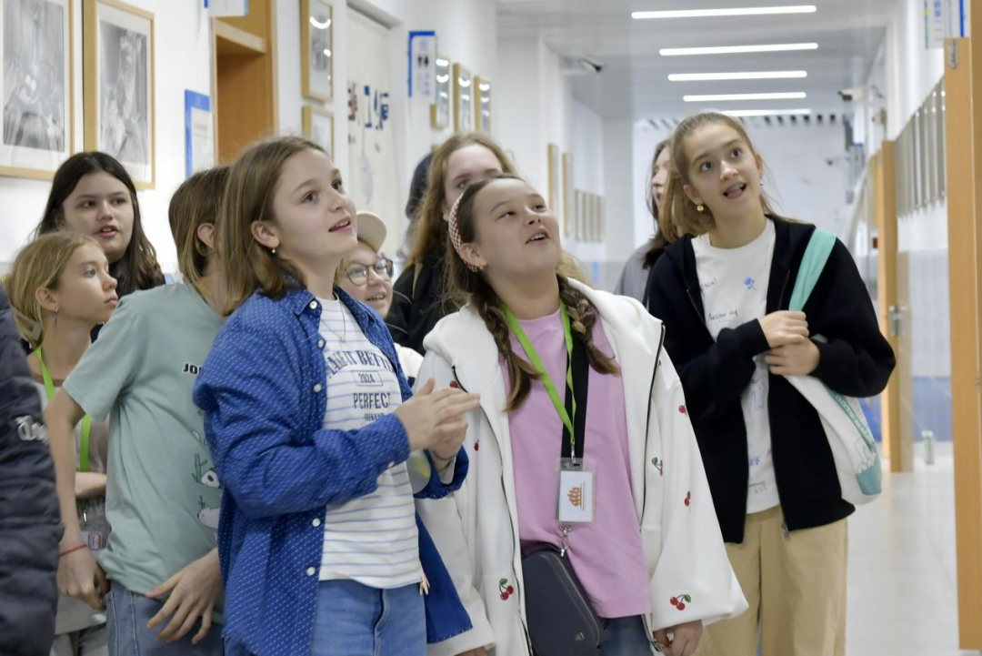 1768206526408519.png 图片 2.png