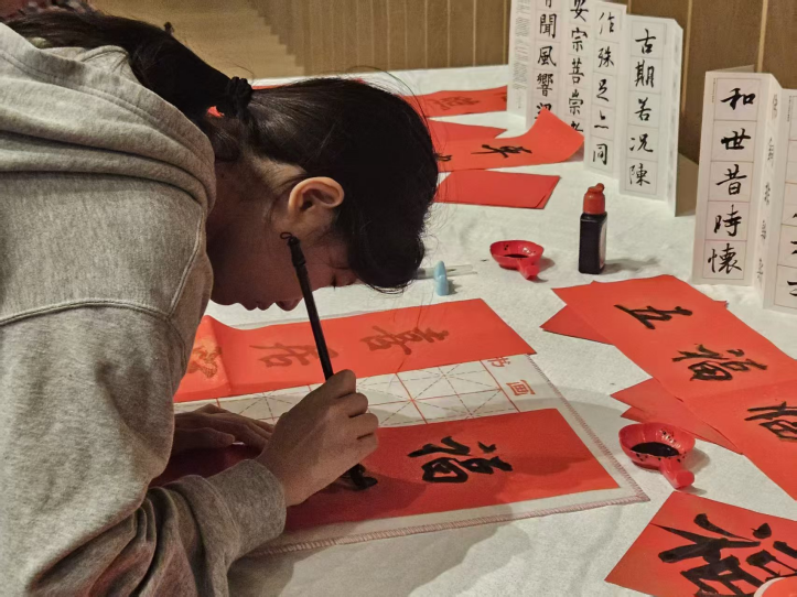 1772327506969900.png 图片 8.png