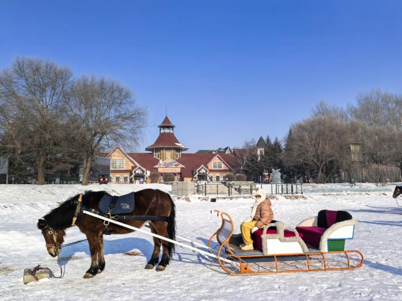 1772328173574214.png 图片 15.png