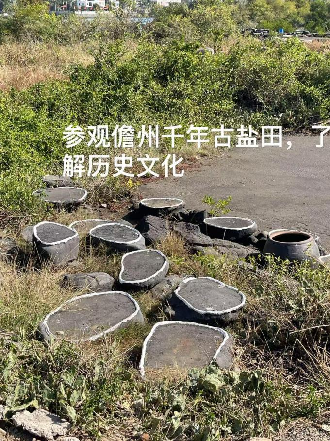 1772328365539950.png 图片 24.png